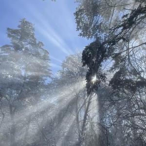 做爱插入喷水免费看
