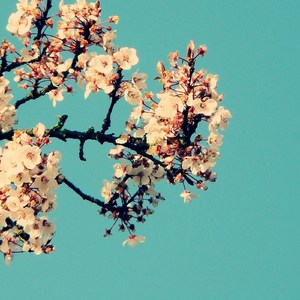 做爱插入喷水免费看
