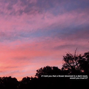 做爱插入喷水免费看
